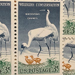 100 Vintage  Unused Blue Wildlife Cranes # 1098 unused old stamps birds on stamps unused vintage blue stamps wedding invitations