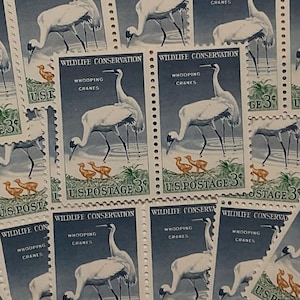 50 Vintage  Unused Blue Wildlife Cranes # 1098 unused old stamps birds on stamps unused vintage blue stamps wedding invitations