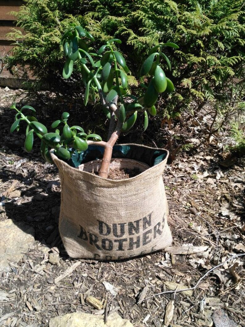 Planter burlap pot cover fabric plant bag collapsible Etsy