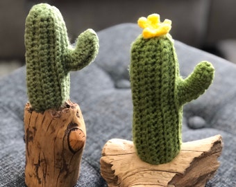 Crocheted cactus with driftwood planter