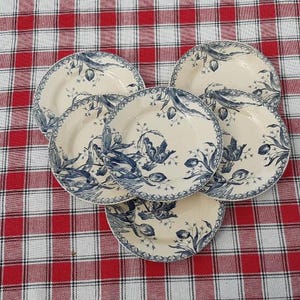Set of 6 antique ironstone plates. Ironstone. Old French plates