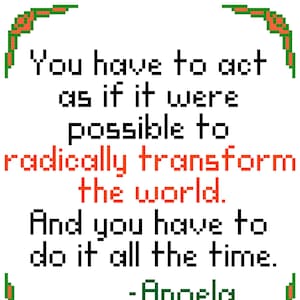 PROCEEDS DONATED Radically Transform the world Angela Davis cross stitch PDF pattern download