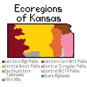 May include: A map of Kansas showing the different ecoregions of the state. The ecoregions are color-coded and labeled: Western High Plains (maroon), Central Great Plains (yellow), Southwestern Tablelands (gray), Flint Hills (orange), Western Corn Belt Plains (brown), Central Irregular Plains (pink), Central OK/TX Plains (light blue), and Ozark Highlands (green).