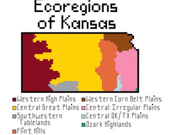 Télécharger le modèle PDF de point de croix sur les écorégions du Kansas