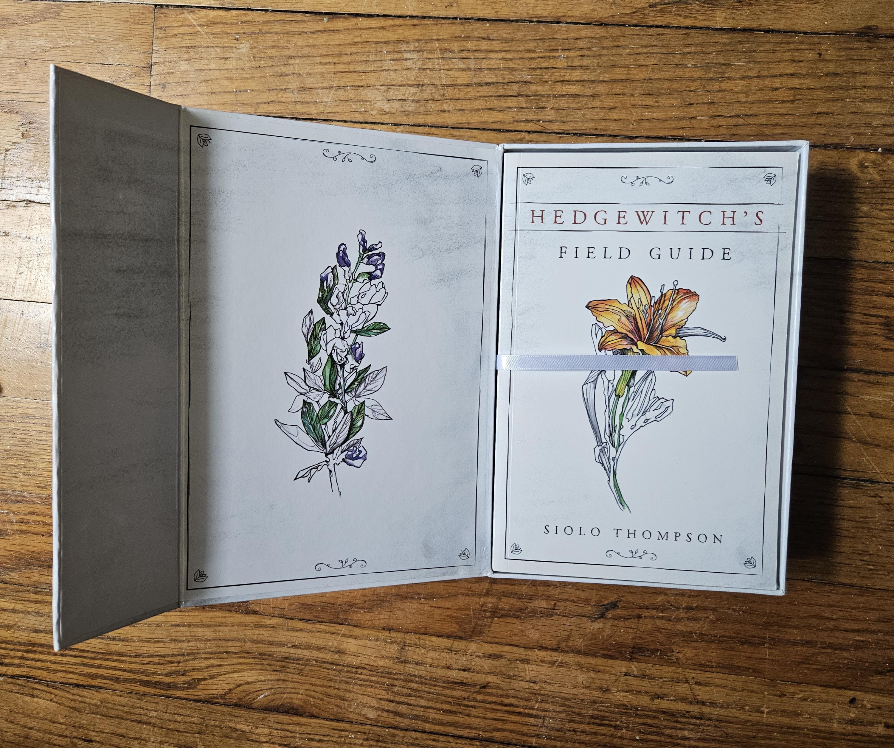 Hedgewitch Botanical Oracle, Hedgewitch's Field Guide, oracle deck, gently used/ like new