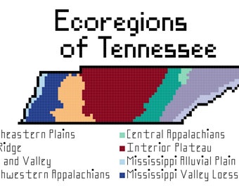Téléchargement du modèle PDF au point de croix des écorégions du Tennessee