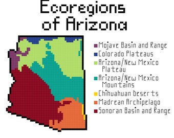 Téléchargement du modèle PDF au point de croix des écorégions de l'Arizona