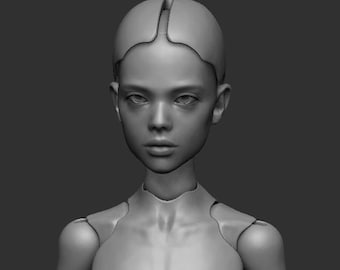 Puede incluir: Modelo 3D en escala de grises de una cabeza y torso superior humanos. El modelo tiene una expresión neutra, con rasgos faciales detallados que incluyen ojos, nariz y labios. La cabeza tiene una línea de cabello distinta y una superficie lisa y sin textura.