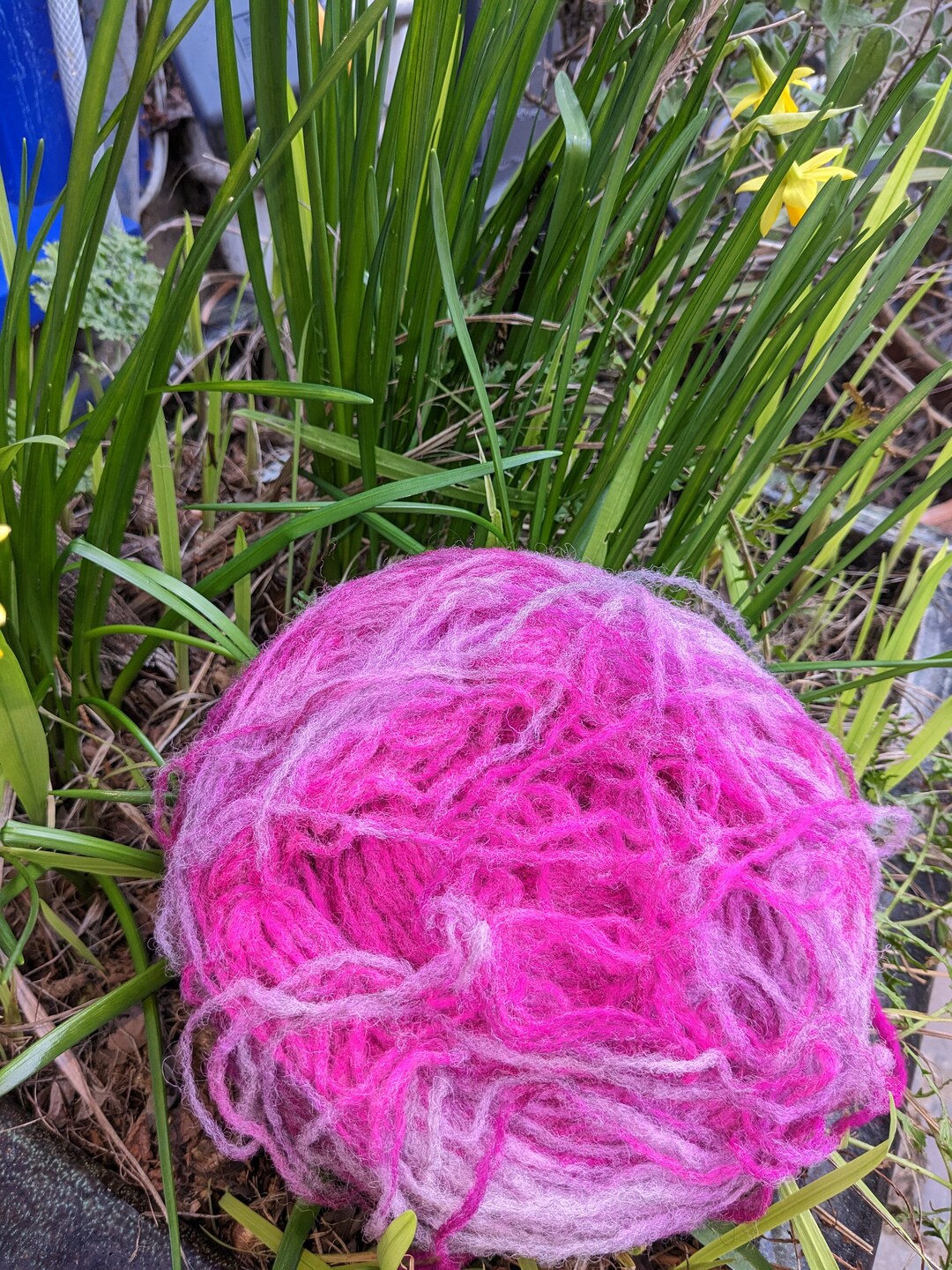 Pink and Purple Pencil Roving (new Zealand Romney and Alpaca) for ...