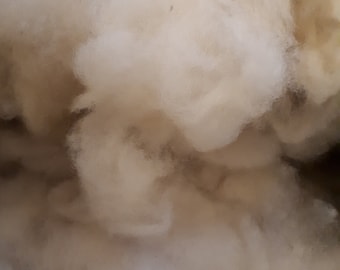 Washed and combed Ryeland fleece wool (50 g)