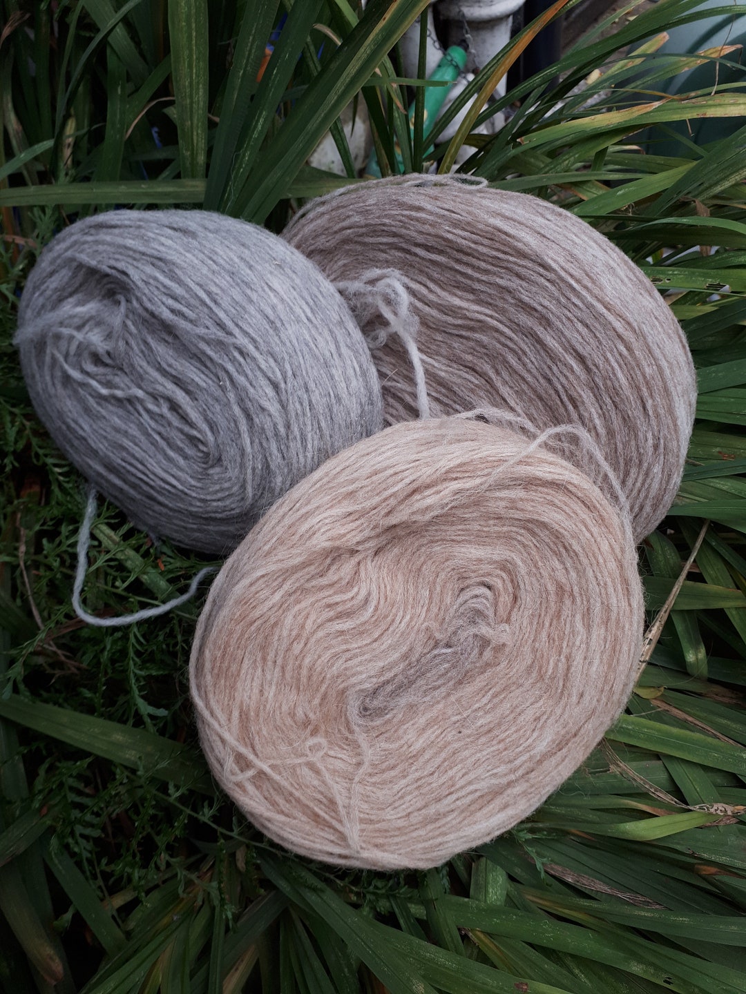 Dark Beige Pencil Roving - TOP RIGHT - (new Zealand Romney and Alpaca ...