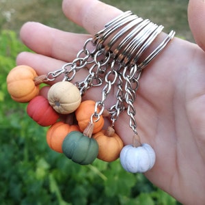 Puede incluir: Un conjunto de siete llaveros de calabaza en miniatura en varios colores, incluyendo naranja, verde, blanco y marr&oacute;n. Los llaveros est&aacute;n unidos a un llavero plateado.