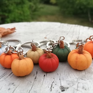 Puede incluir: Un conjunto de nueve llaveros de calabaza en miniatura de varios colores, incluyendo naranja, rojo, verde, beige y azul. Cada calabaza tiene un llavero plateado.