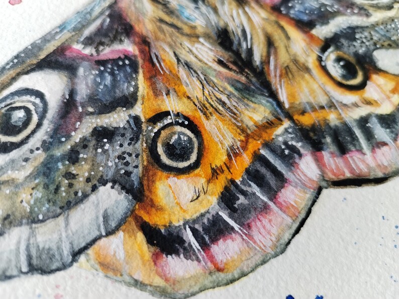 Aquarelle originale de papillon de nuit empereur 22,4 x 22,4 cm image 3
