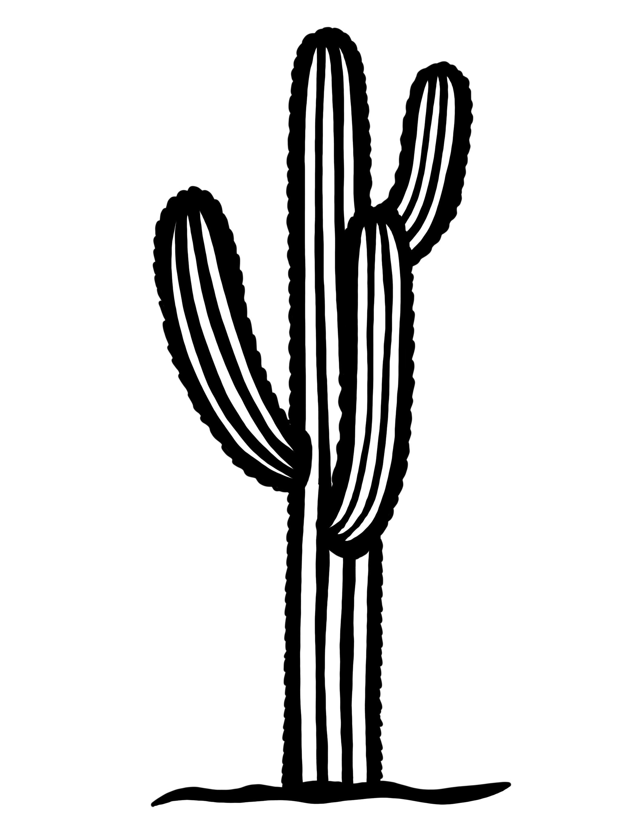 Cactus Vinyl Decal sticker Etsy