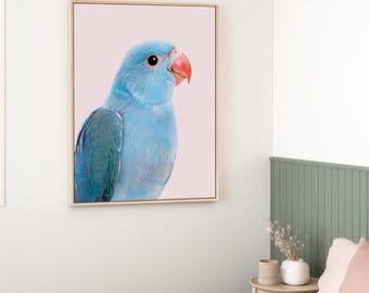 Whimsical Parrot Bird Art Framed Canvas | Colorful Dopamine Decor | Grandmillennial Boho Wall Art | Large Statement Canvas