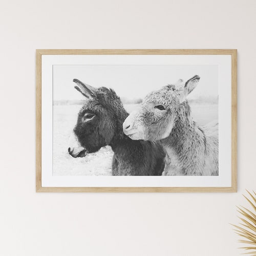 Donkey Art Print Farm Animal Wall Art Farmhouse Decor Etsy