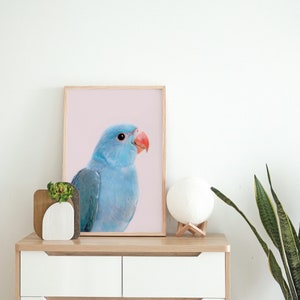 Blue Parrot UNFRAMED Art Print, Lovebird Print, Tropical Bird Art