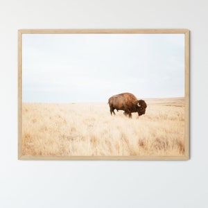 Bison Print FRAMED or UNFRAMED Wall Art, Desert Print, Western Wall Decor, Boho Wall Art, Southwestern Wall Decor, Modern Animal Photography