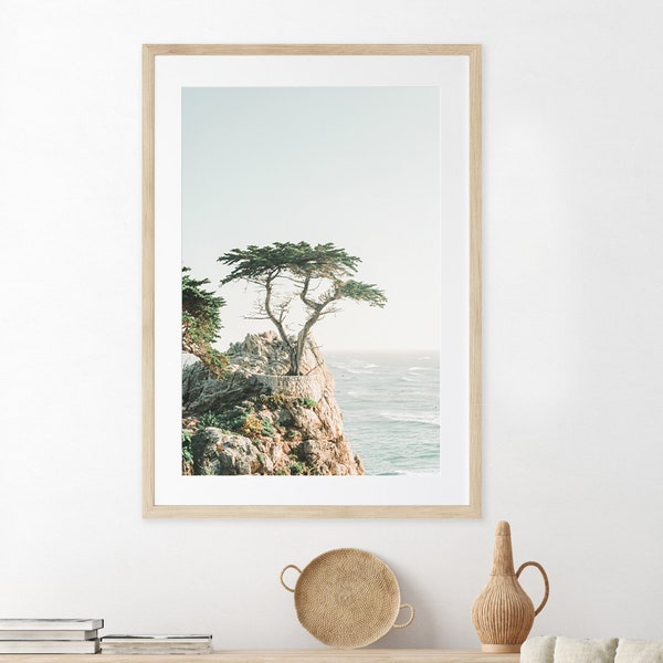 Monterey Bay Etsy