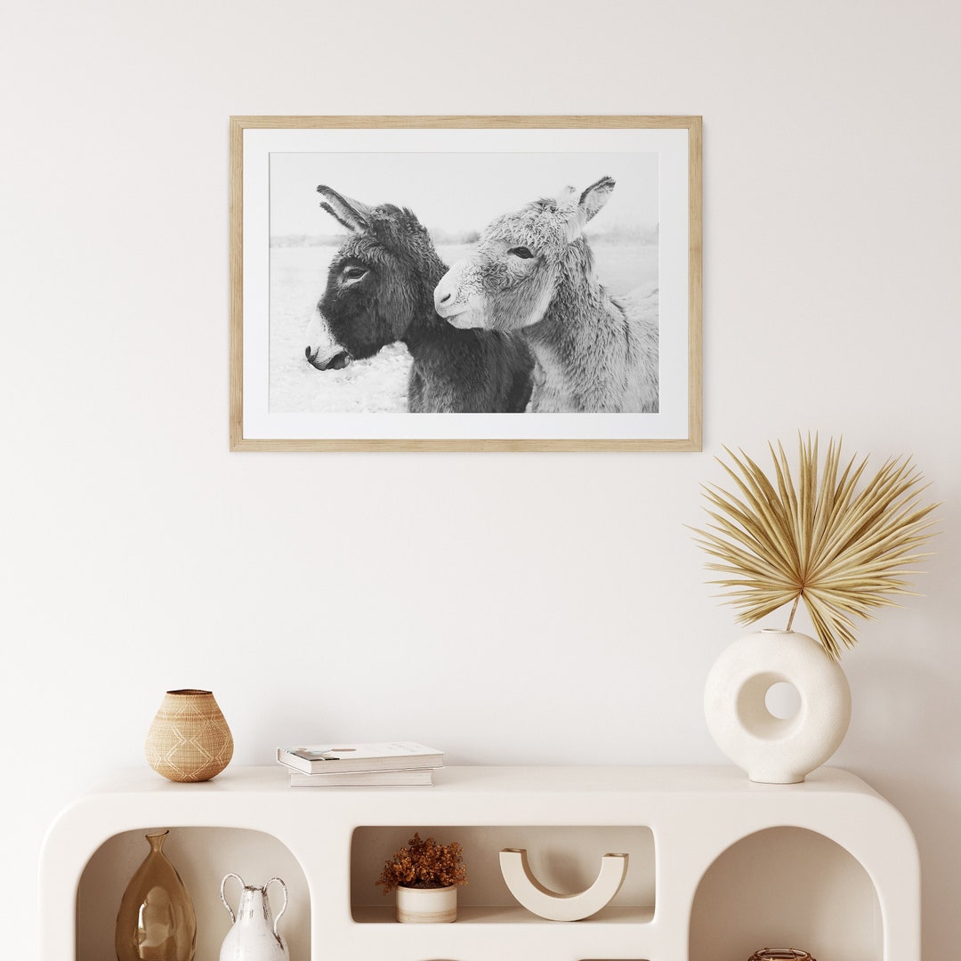 Donkey Love Framed Animal Wall Art Photography Print Boho Etsy