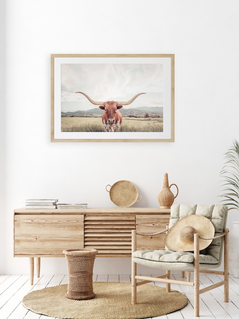 FRAMED Texas Longhorn Cow Print , Unframed & Framed option available. image 2