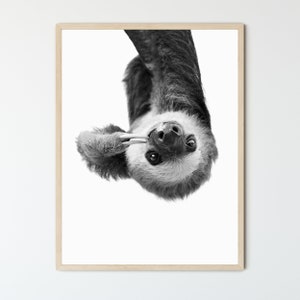Black And White FRAMED Sloth Portrait, Funny Animal Prints, Wall Art, Kids Room Art, Framed Photo