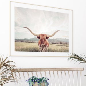 FRAMED Texas Longhorn Cow Print , Unframed & Framed option available. image 3