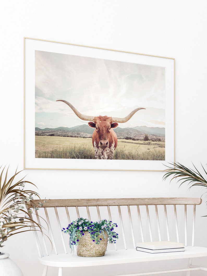 FRAMED Texas Longhorn Cow Print , Unframed & Framed option available. image 3