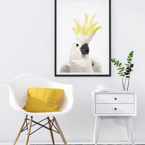 Cockatoo Print, Unframed Wall Art image 4