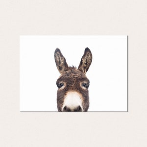 Peekaboo Donkey Wall Art, Printed and Shipped