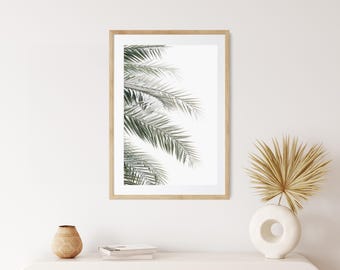 Neutral Palm Leaf Photography Giclee Print, Coastal Boho Home, Wood Framed & Unframed, Modern Beach Home Wall Prints, Light and Airy