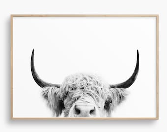 Peeking Cow Art Print, Highland Cow Wall Art, UNFRAMED