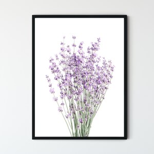 May include: A framed print of a bouquet of lavender flowers with purple blooms and green stems against a white background.