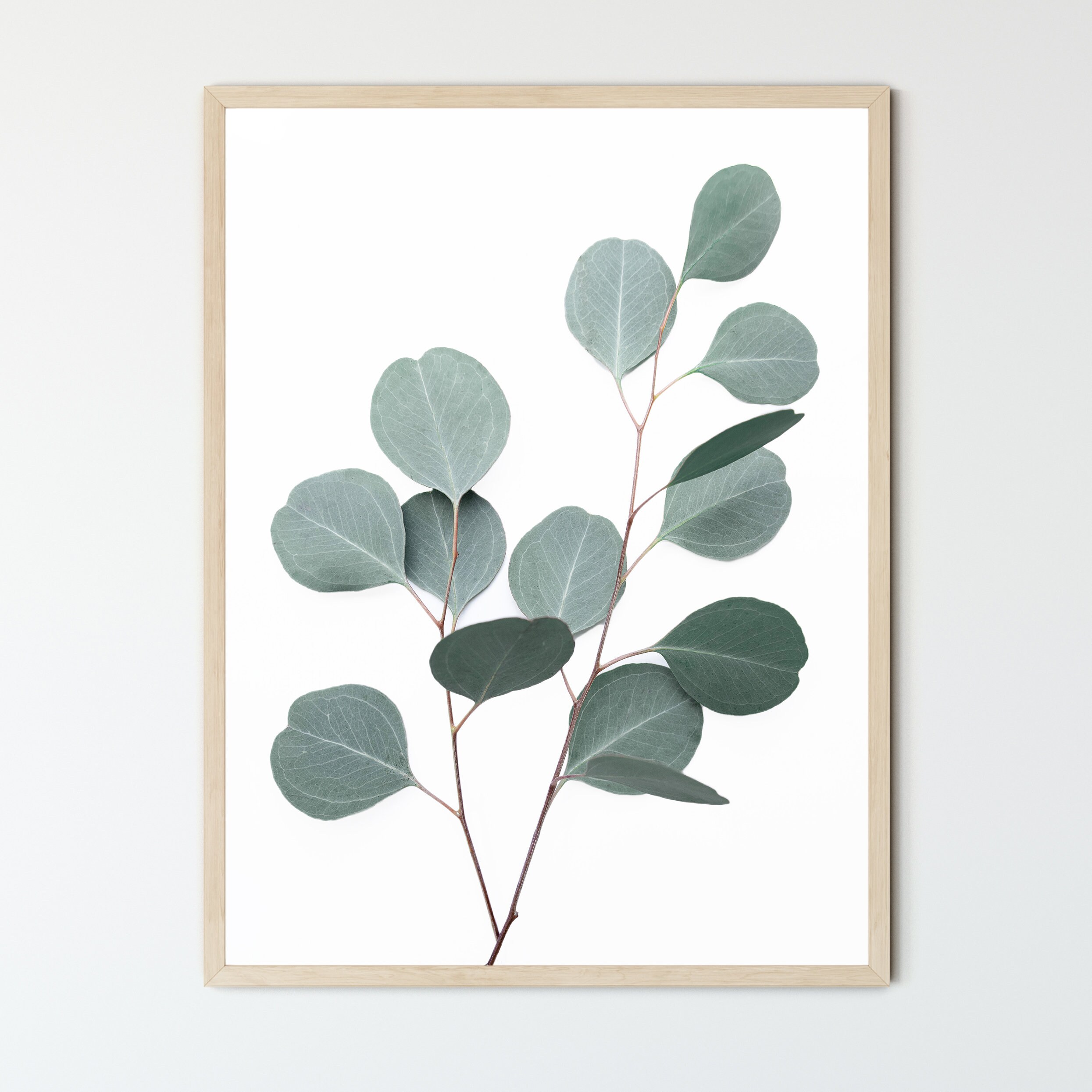 Botanical Wall Art FRAMED Eucalyptus Branch Modern Plant Etsy UK