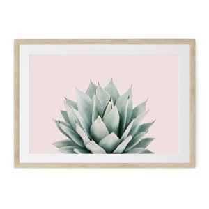 Agave Print, Botanical Wall Art, Bathroom Decor, Pilates Studio Art, Modern Cactus Prints, Pastel Succulent Print, Framed or Unframed,