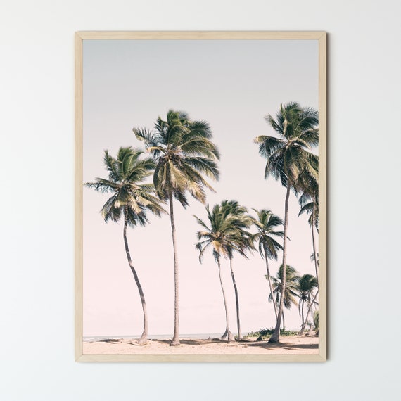 FRAMED Palm Trees ACRYLIC GLASS Blush Palm Tree Poster | Etsy