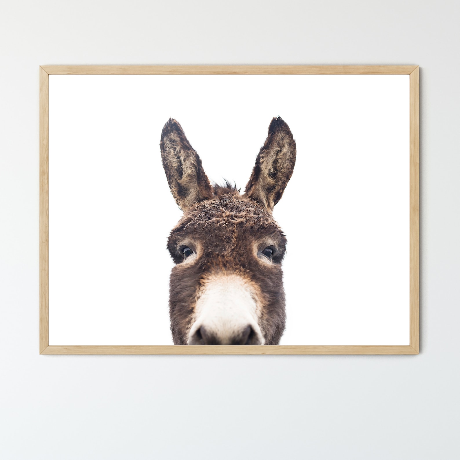Peeking Donkey FRAMED Wall Art Farmhouse Decor Hey Donkey Etsy