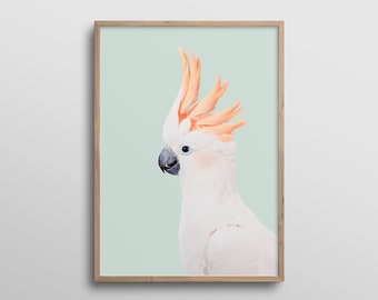 Parrot Art Print, Cockatoo UNFRAMED Print, Orange and Mint, Nursery Prints, Bird Wall Art, Animal Prints, Pastel Parrot Art, Boho Tropical