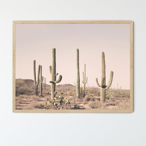 FRAMED Blush Pink Desert Cactus Print Wall Art Boho Home Etsy