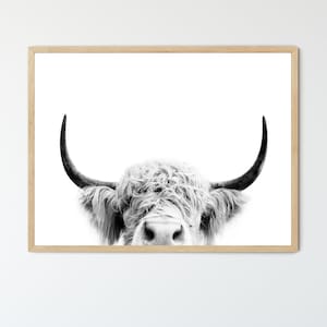 Black And White Highland Cow FRAMED Artwork, Modern Farmhouse Decor