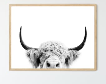 Black And White Highland Cow FRAMED Artwork, Modern Farmhouse Decor