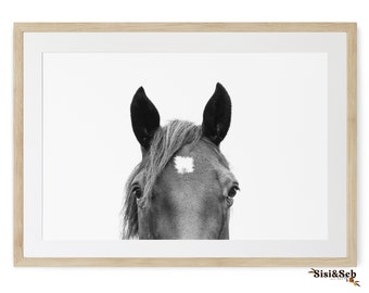 Framed Black And White Horse Portrait, Modern Farmhouse Decor, FRAMED Photography Print, Wall Art, Original Art