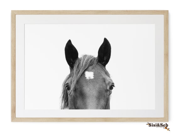 Framed Black And White Horse Portrait, Modern Farmhouse Decor, FRAMED Photography Print, Wall Art, Original Art