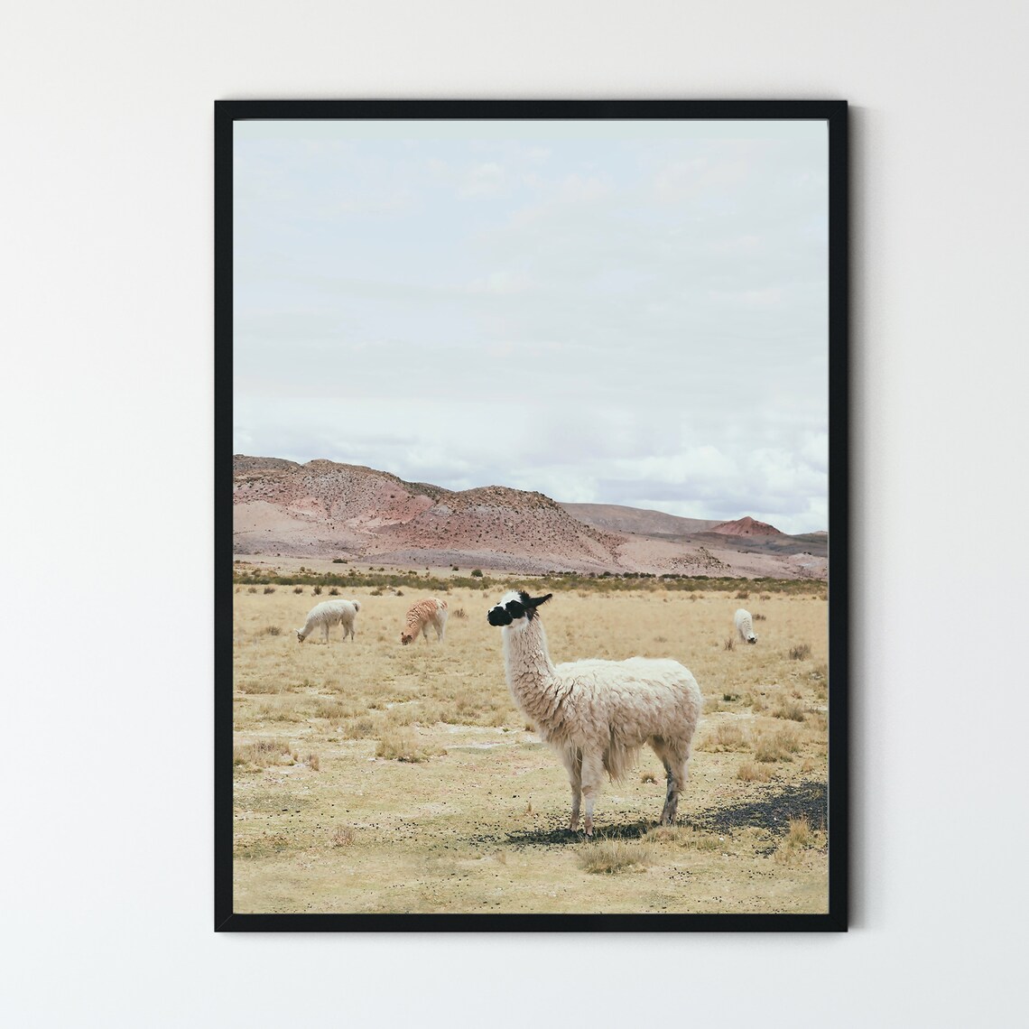 FRAMED Alpaca Print Animal Prints Wall Art Large Framed Etsy UK