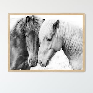 Icelandic Horses FRAMED & Unframed Animal Wall Art, ACRYLIC glass, Photography Print, Boho Farmhouse Decor