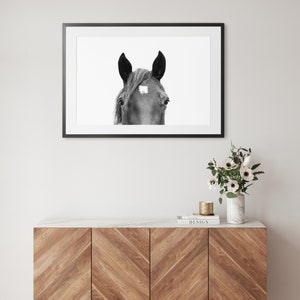 May include: Black and white photograph of a horse's head with a white star on its forehead. The horse is looking directly at the camera. The photo is framed in a black frame and hanging on a white wall above a wooden cabinet.