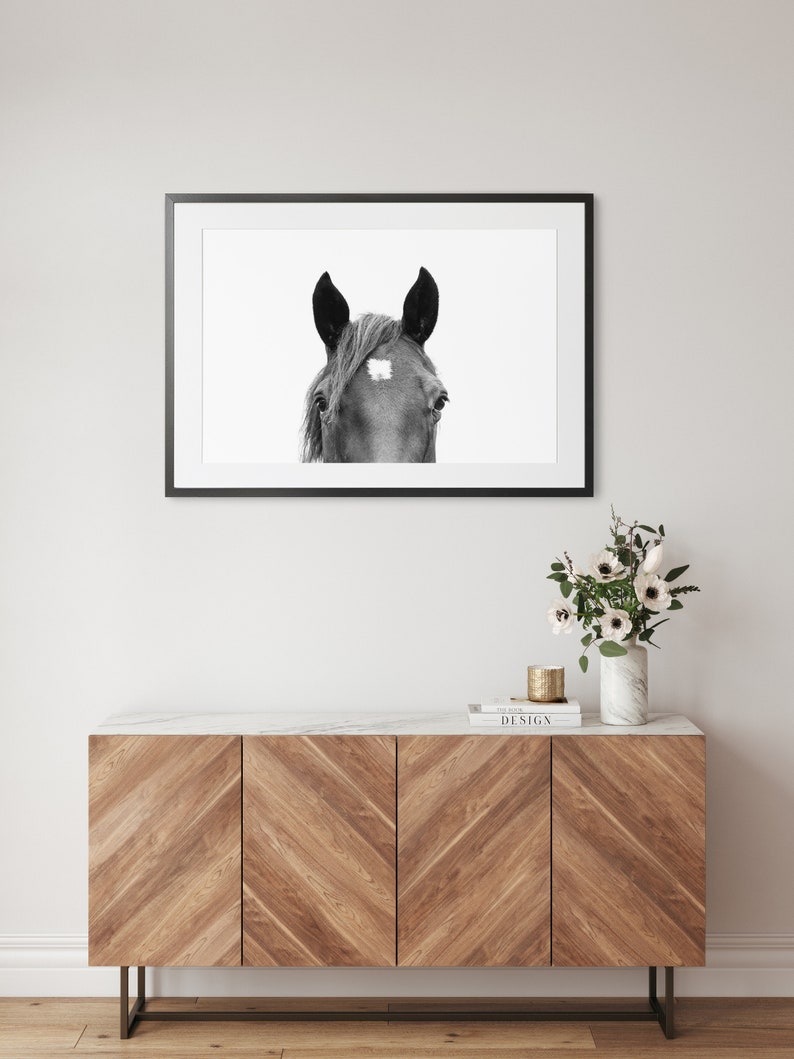 May include: Black and white photograph of a horse's head with a white star on its forehead. The horse is looking directly at the camera. The photo is framed in a black frame and hanging on a white wall above a wooden cabinet.