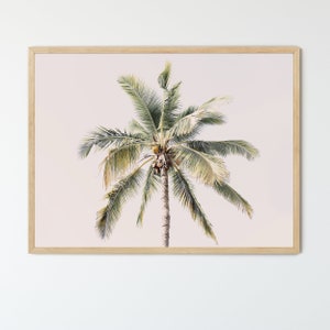 Framed Palm Tree Wall Art, Photography Print, Blush Pink Palm Tree, Palm leaves Art, Boho Tropical