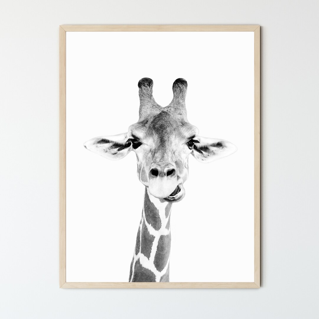Giraffe FRAMED Wall Art, Black and White Fine Art Print Etsy